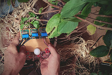 Light sensor calibrating