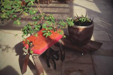 Furniture for an adobe house from a local manufacturer. Stool in the shape of a camel saddle