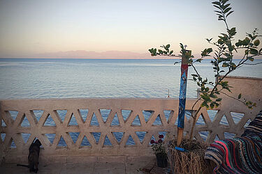 Microclimate sensor against the backdrop of the Gulf of Aqaba. On the horizon — Saudi Arabia, a potential customer